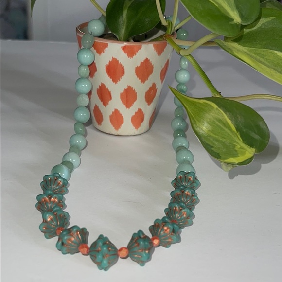 Carousel Shell - Picture 1 of 3